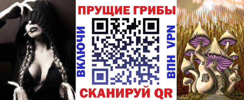 Галлюциногенные грибы прущие грибы Сасово
