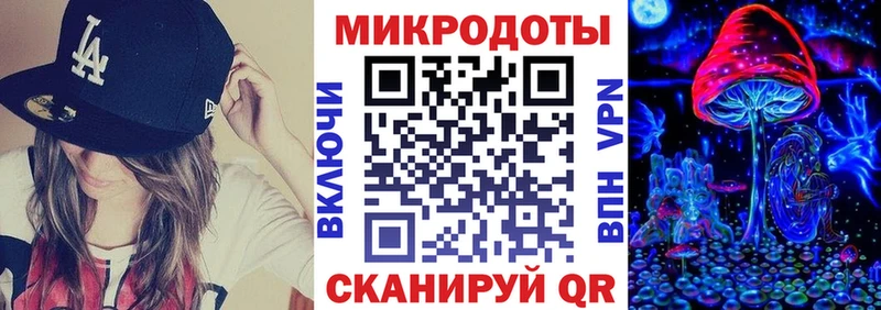 Псилоцибиновые грибы Psilocybine cubensis  Сасово 